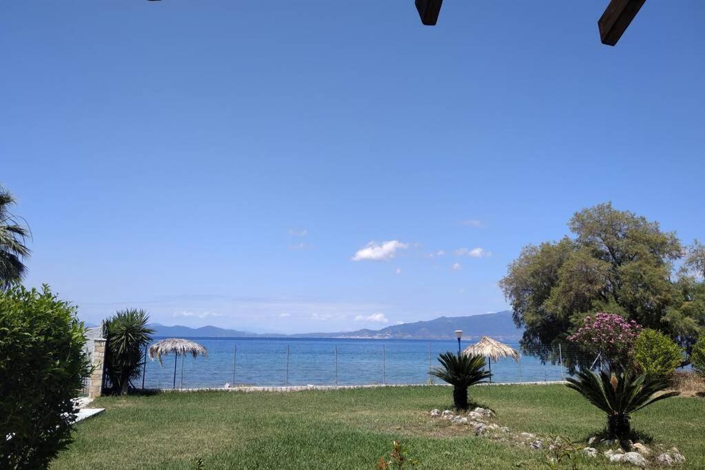 Kalypso Relaxing Shelter Apartment อาร์กีตซา ภายนอก รูปภาพ